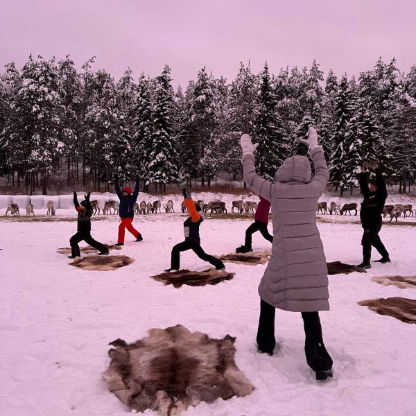 People doing yoga with reindeers in Ruka, Finland. Reindeer yoga, vengeance & NYE
