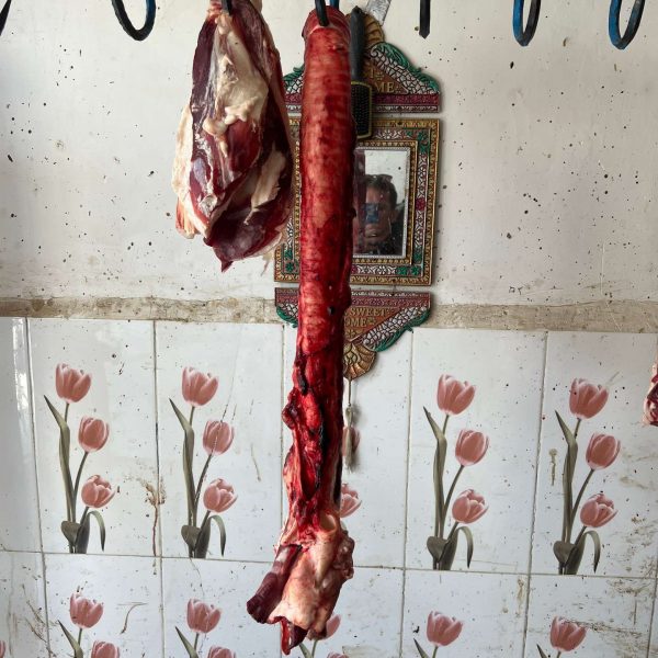 Meat at butcher shop in Bamiyan, Afghanistan. Bamiyan, Qlukhi & The Buddhas