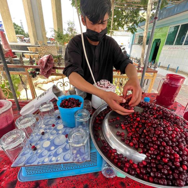 Cherries vendor in Mazar, Afghanistan. Playing volley ball with the Taliban