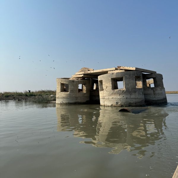 Building ruins on the marsh in Iraq. Arm wrestling in the Iraqi marshlands