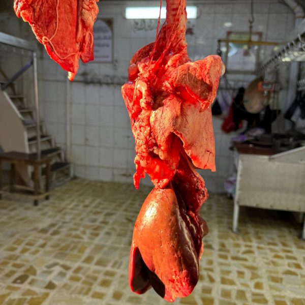 Meat at butcher shop at local market in Iraq. A tour around Baghdad & the Al Anbar